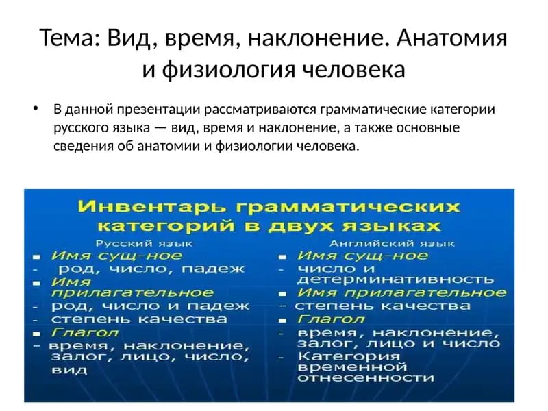 Грамматические категории русского языка