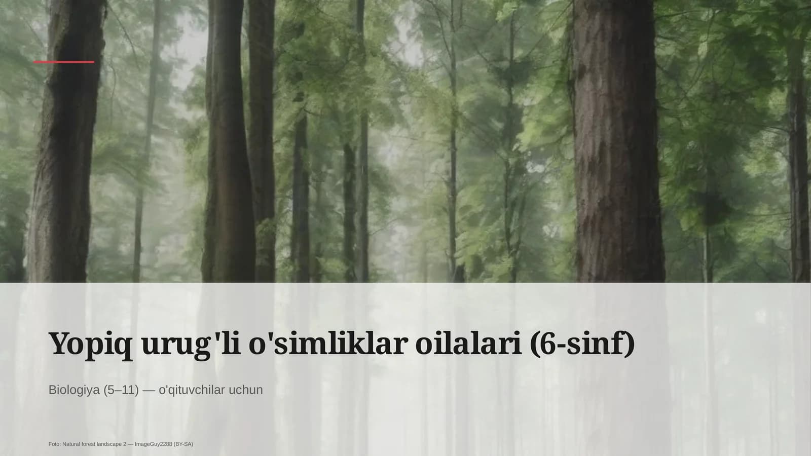 Yopiq urug'li o'simliklar oilalari (6-sinf)