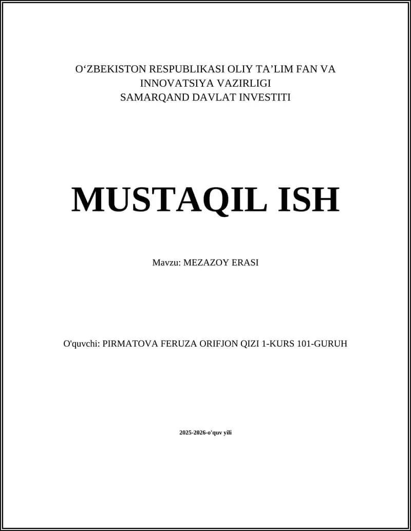 MEZAZOY ERASI