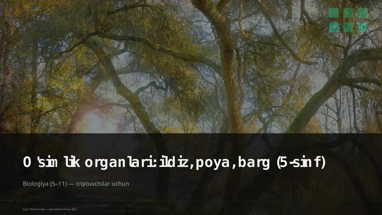 Biologiya (5–11) o'qituvchilar uchun