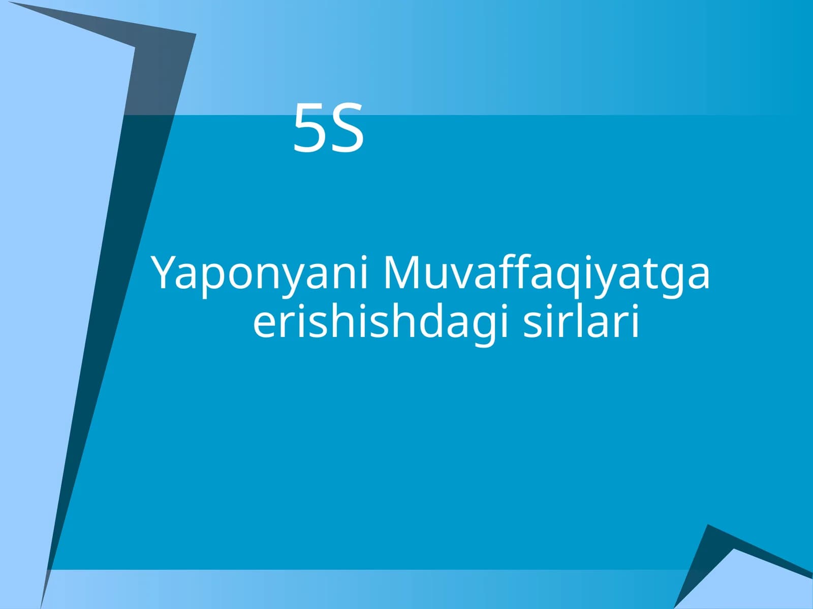 5S tizimi. Yaponyani Muvaffaqiyatga erishishdagi sirlari