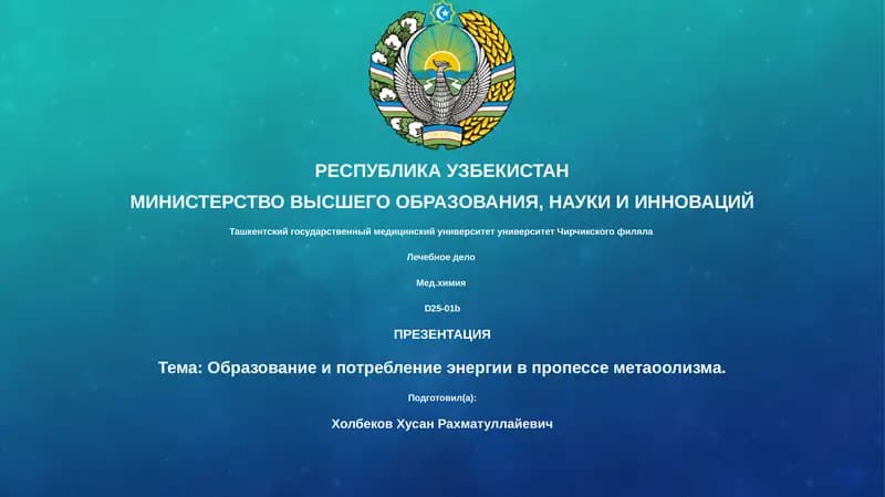 Лечебное дело