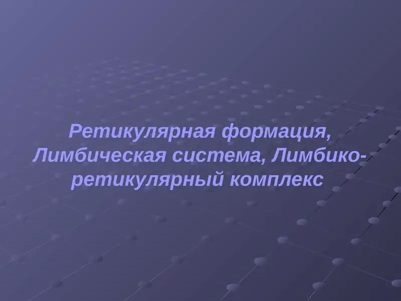 Ретикулярная формация, Лимбическая система, Лимбико-ретикулярный комплекс