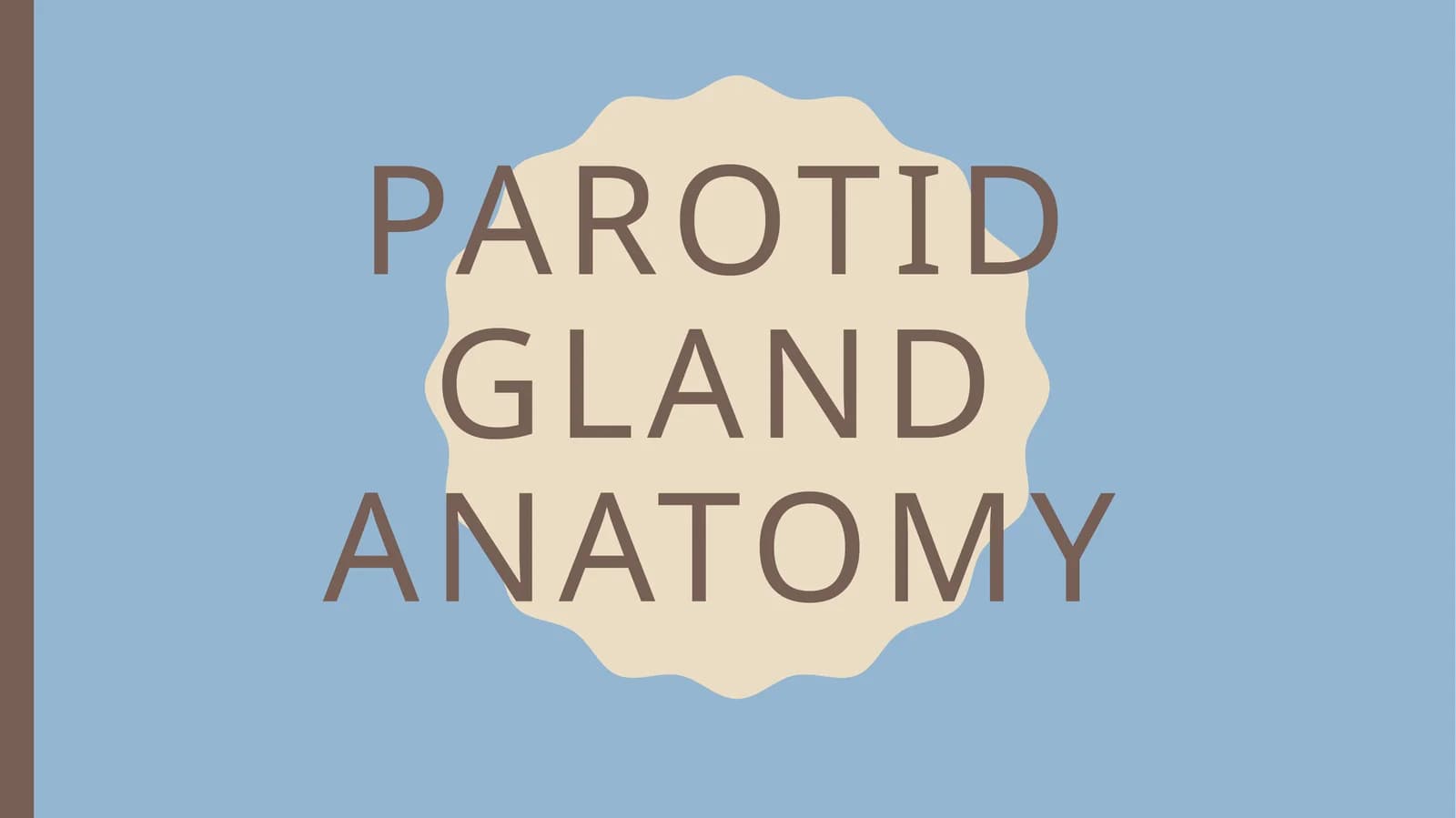 Parotid gland anatomy
