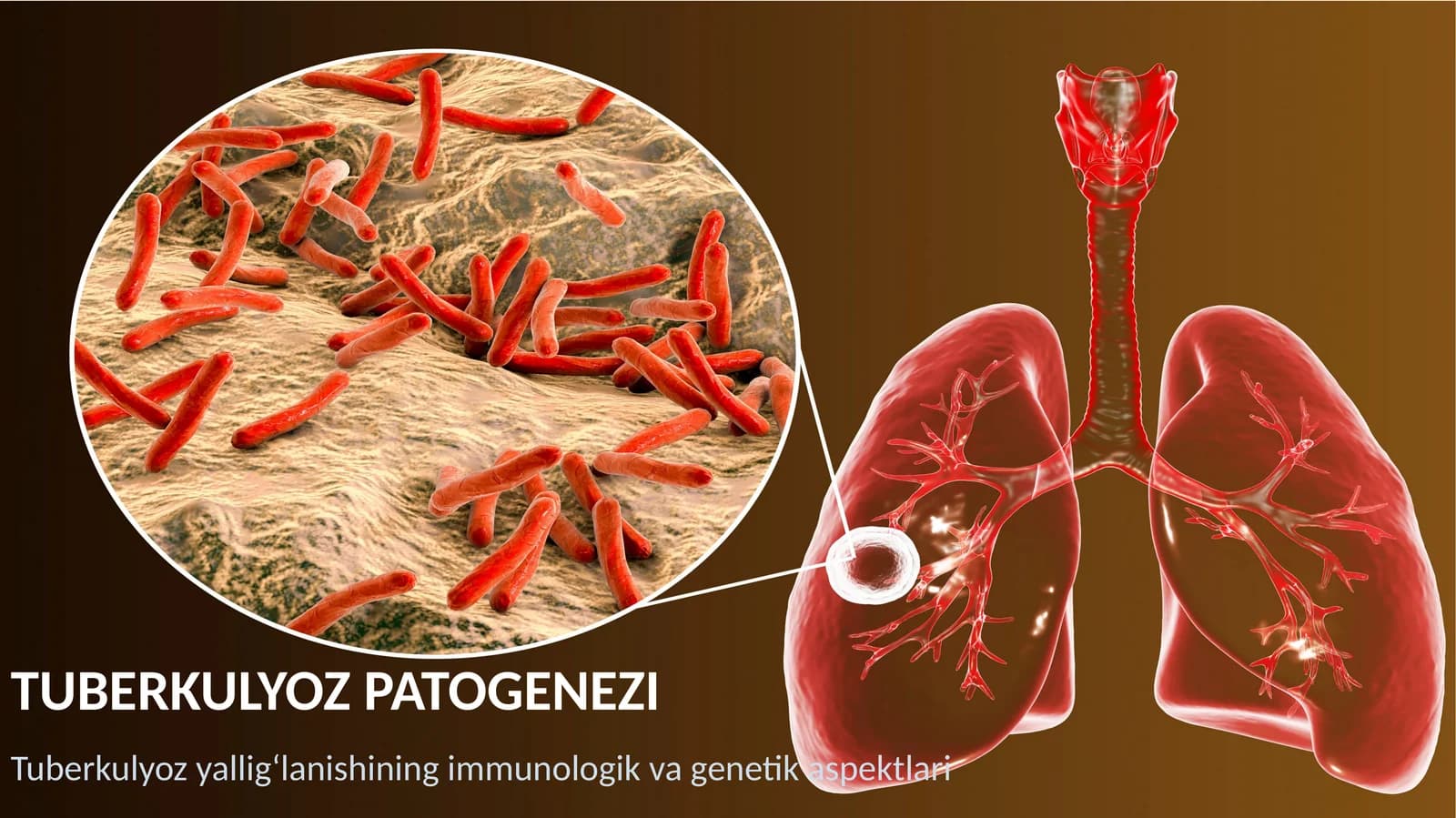 Tuberkulyoz patogenezi