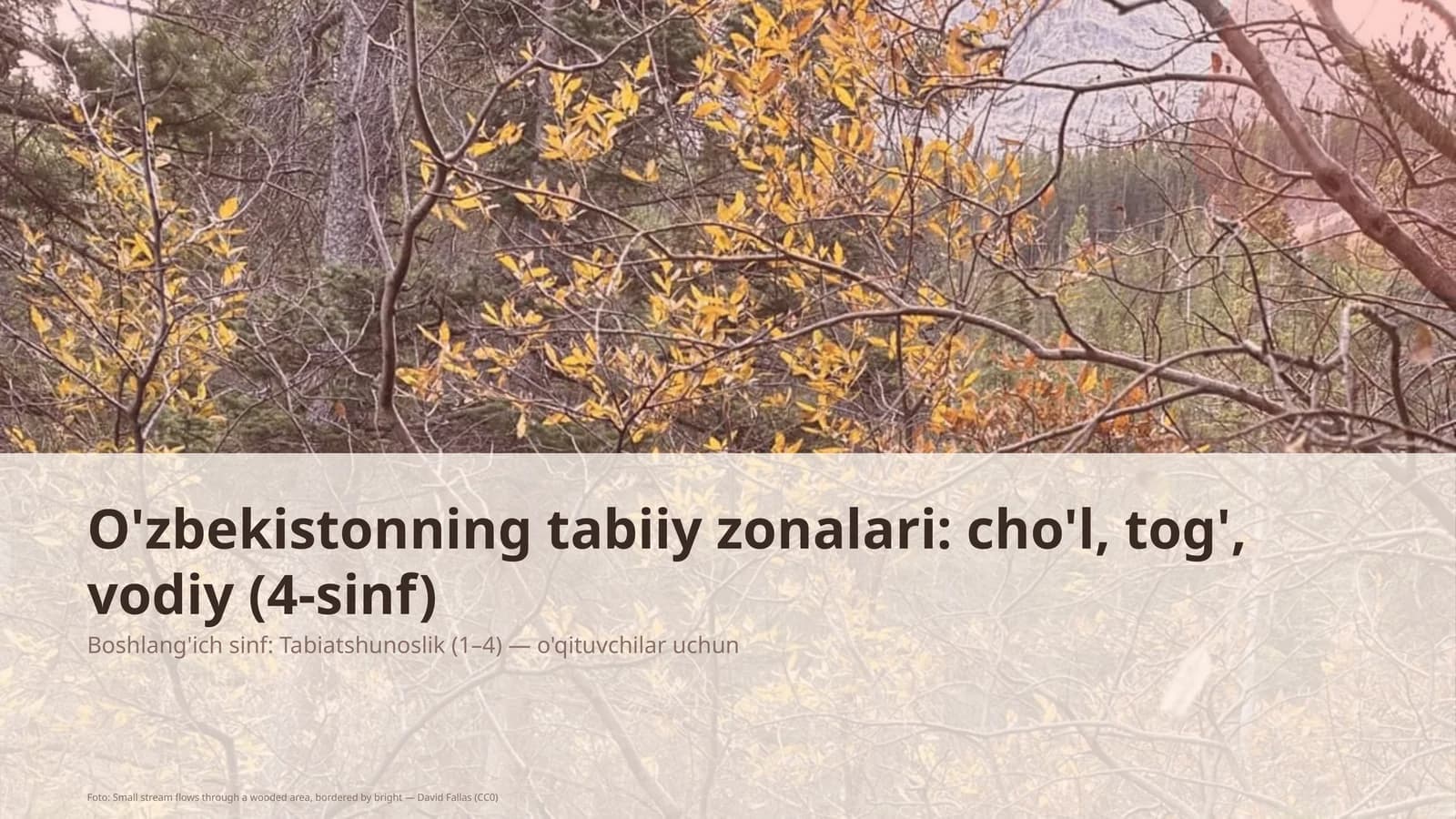 O'zbekistonning tabiiy zonalari: cho'l, tog', vodiy (4-sinf)