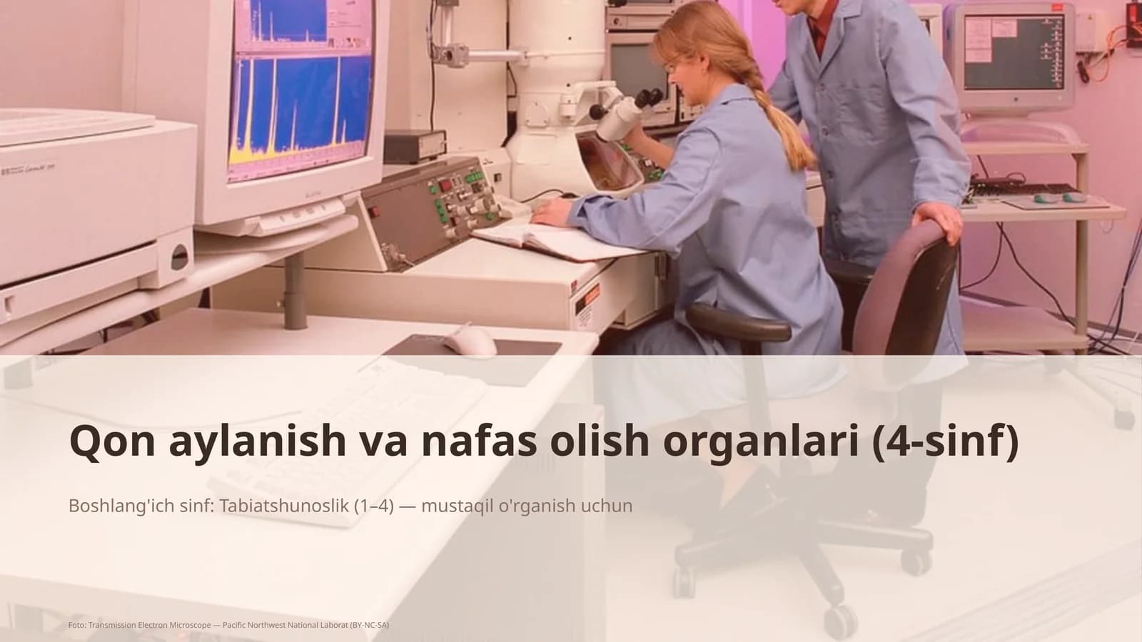 Qon aylanish va nafas olish organlari (4-sinf)