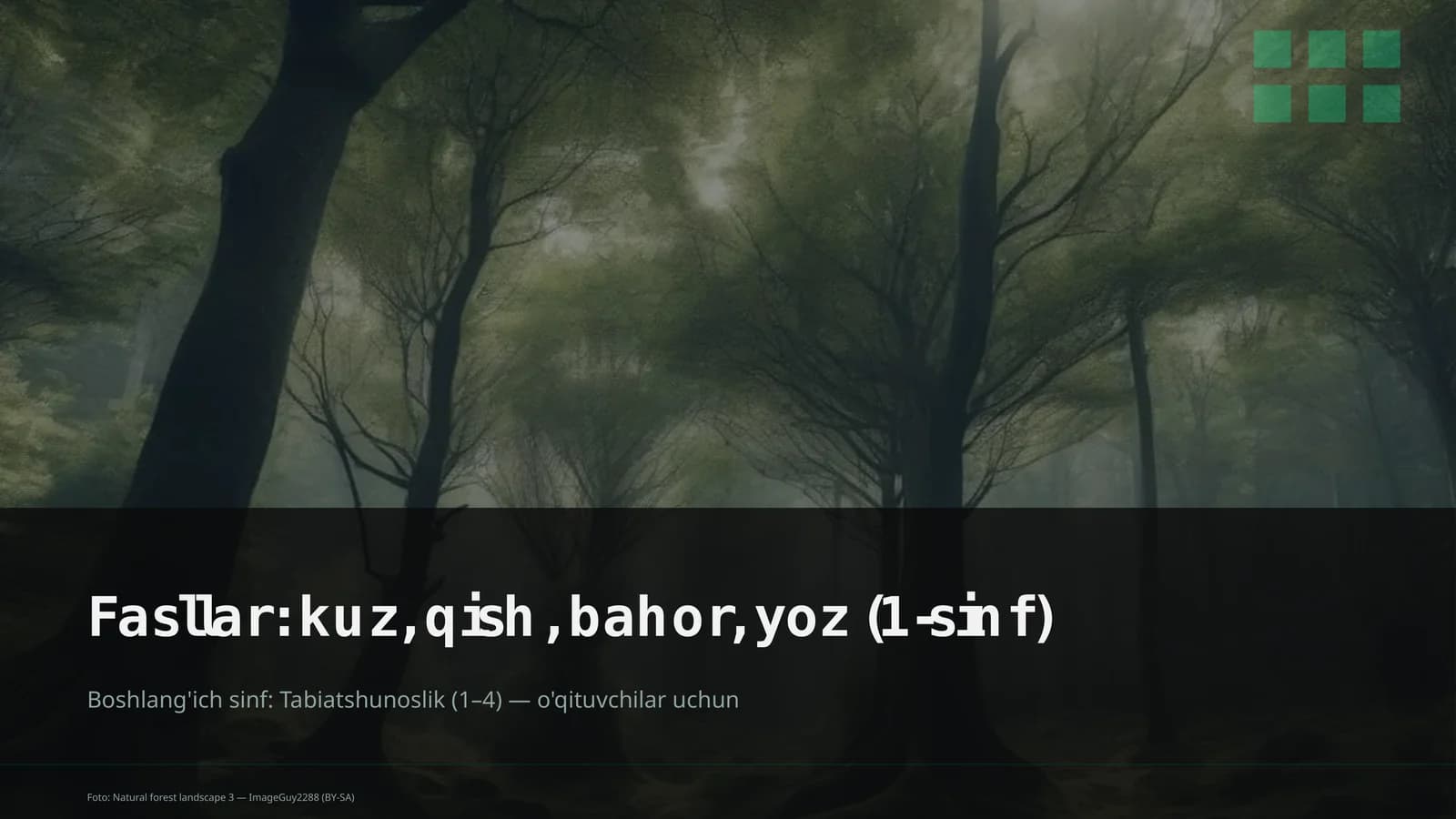 Tabiatshunoslik Dars Rejasi