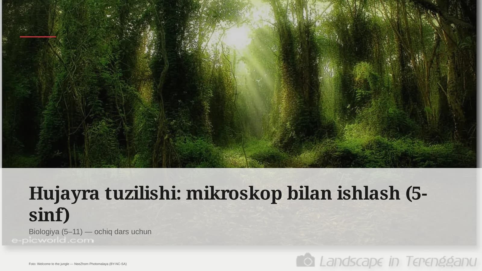 Hujayra tuzilishi: mikroskop bilan ishlash (5-sinf)
