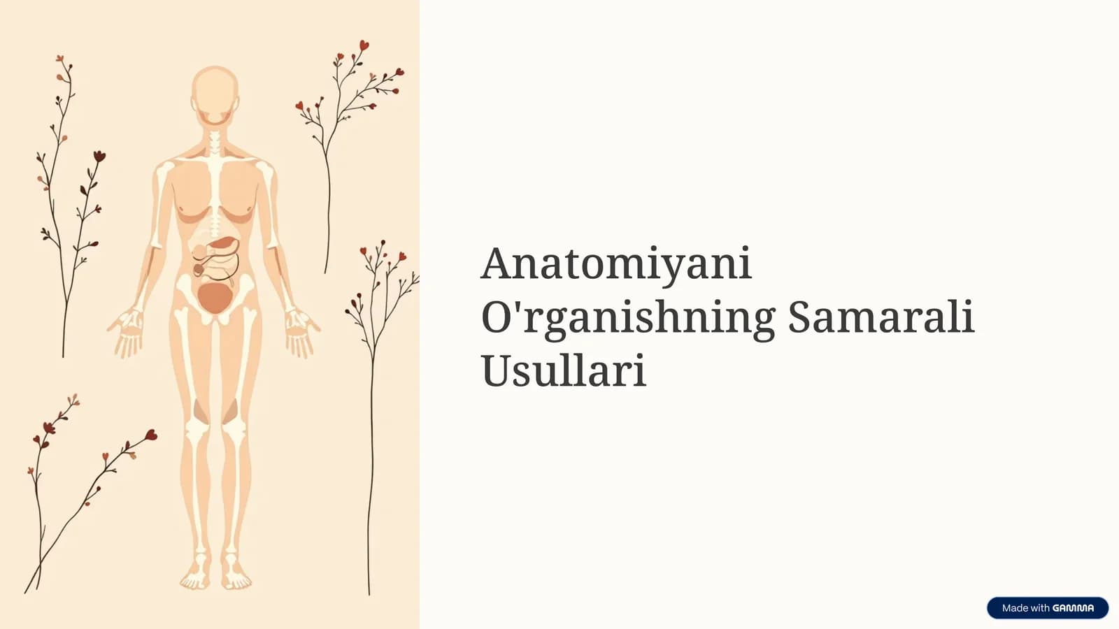 Anatomiyani O'rganishning Samarali Usullari