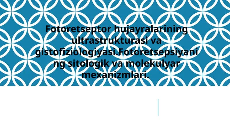 Fotoretseptorlar