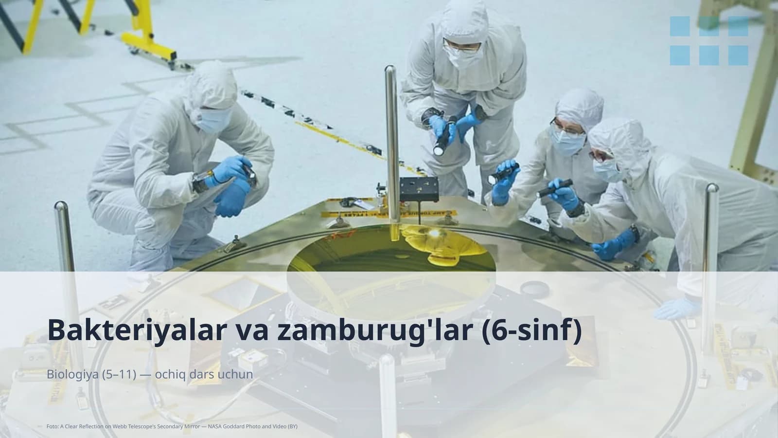 Bakteriyalar va zamburug'lar (6-sinf)