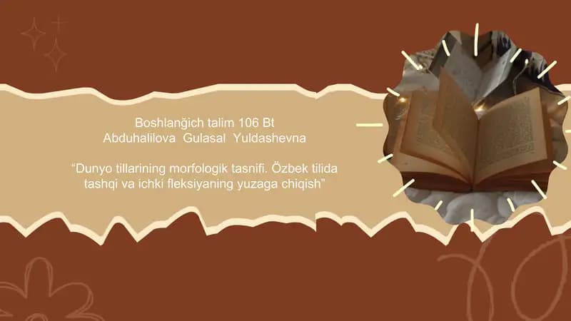 Dunyotillarining morfologik tasnifiona