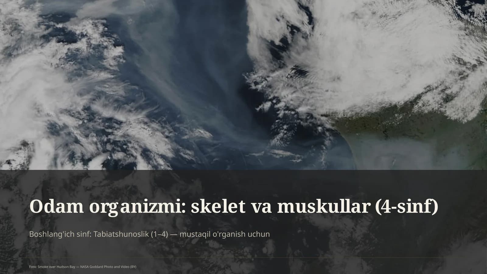 Odam organizmi: skelet va muskullar (4-sinf)