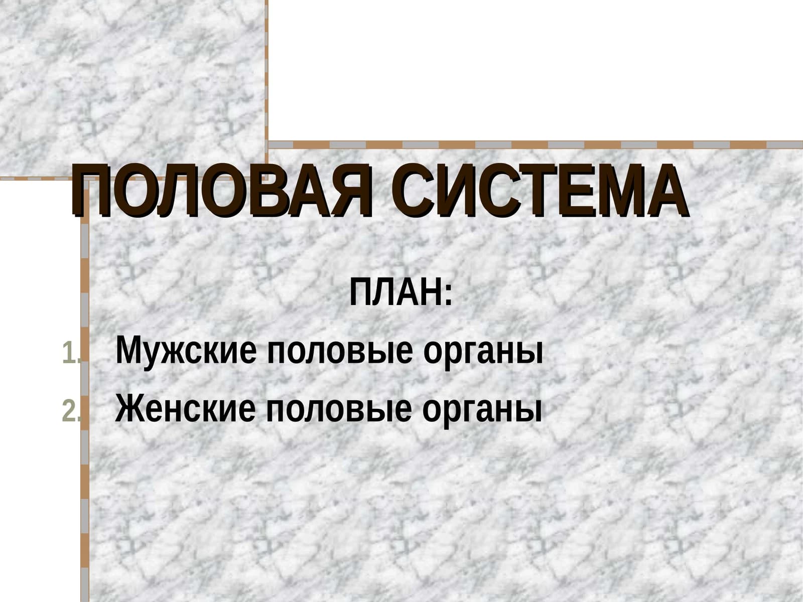 ПОЛОВАЯ СИСТЕМА