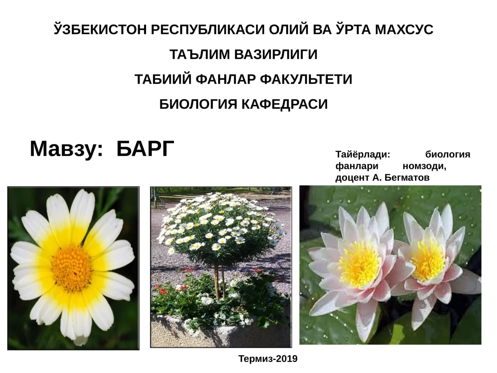 БАРГ