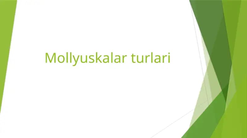 Mollyuskalar turlari