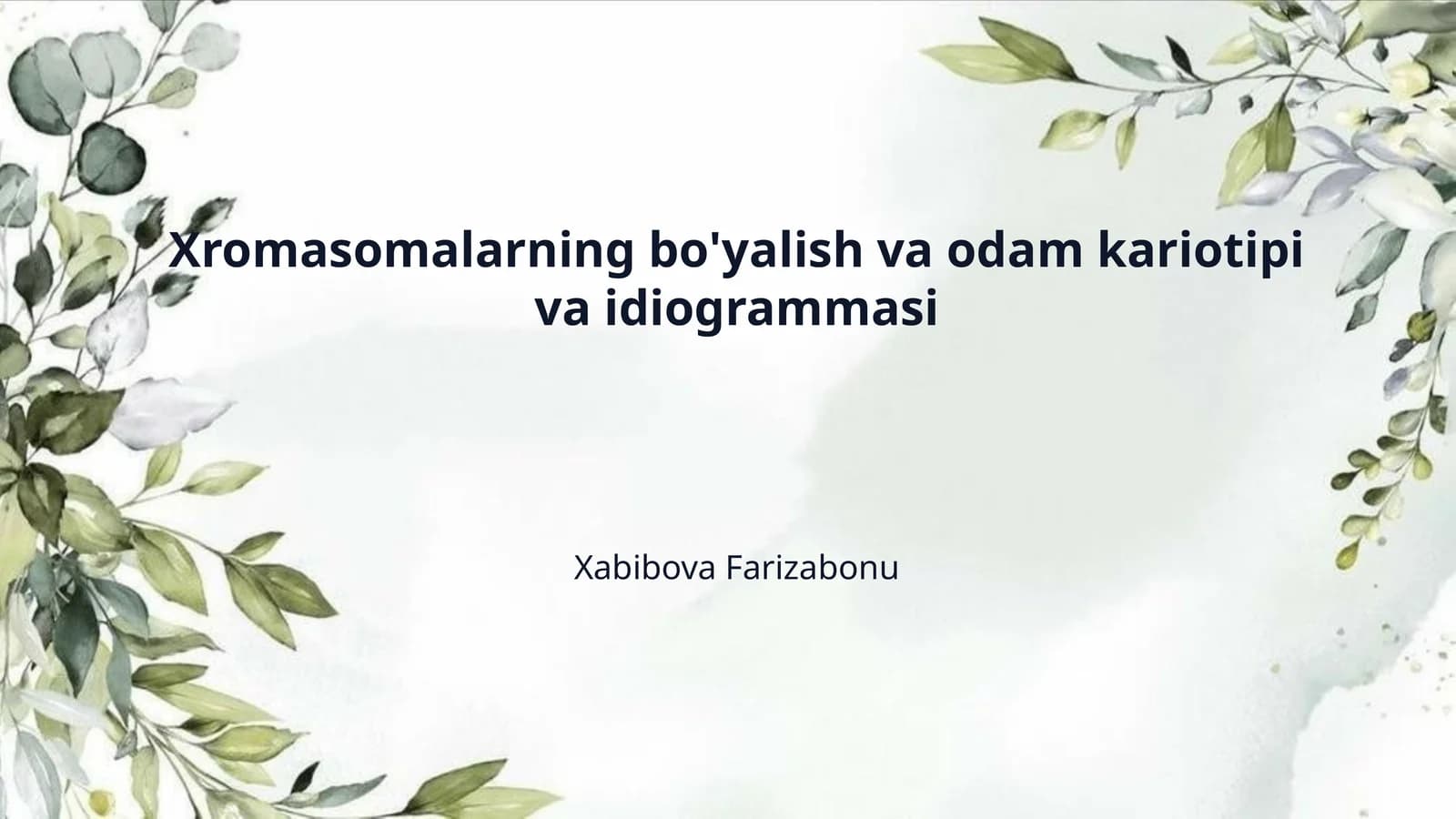 Xromasomalarning bo'yalish va odam kariotipi va idiogrammasi