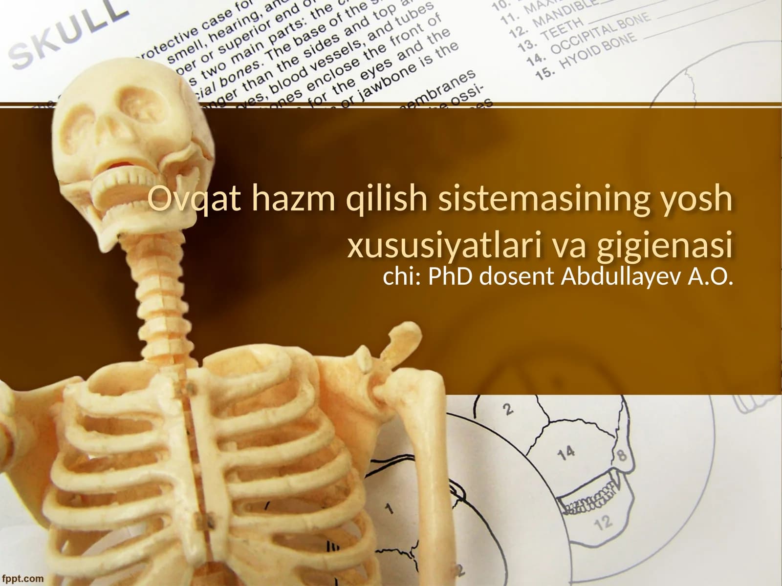 Ovqat hazm qilish sistemasining yosh xususiyatlari va gigienasi