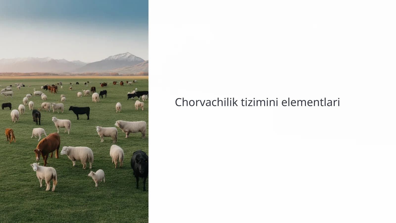 Chorvachilik tizimini elementlari