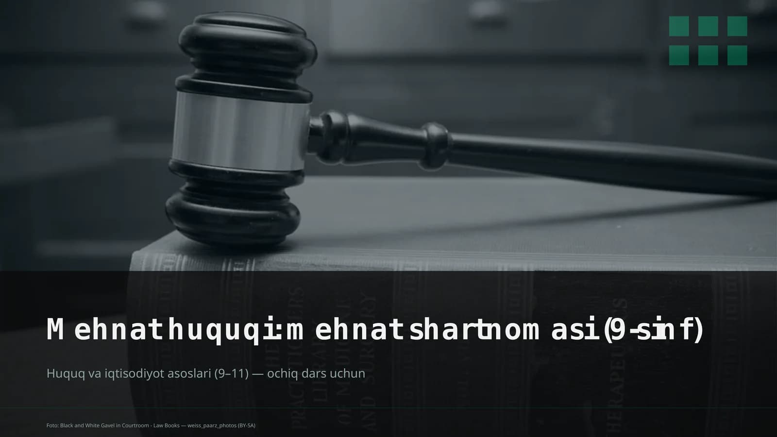 Mehnat huquqi: mehnat shartnomasi (9-sinf)