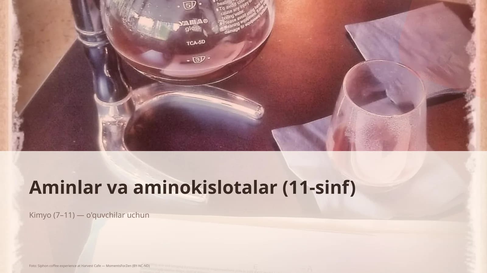 Aminlar va aminokislotalar (11-sinf)