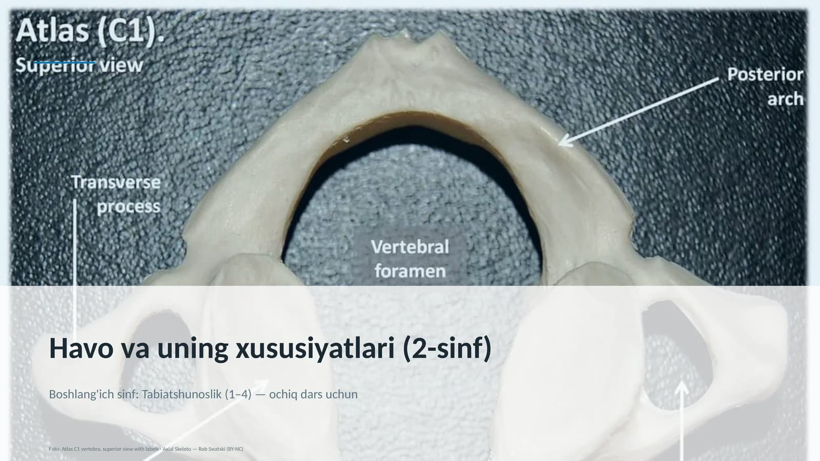 Havo va uning xususiyatlari (2-sinf)