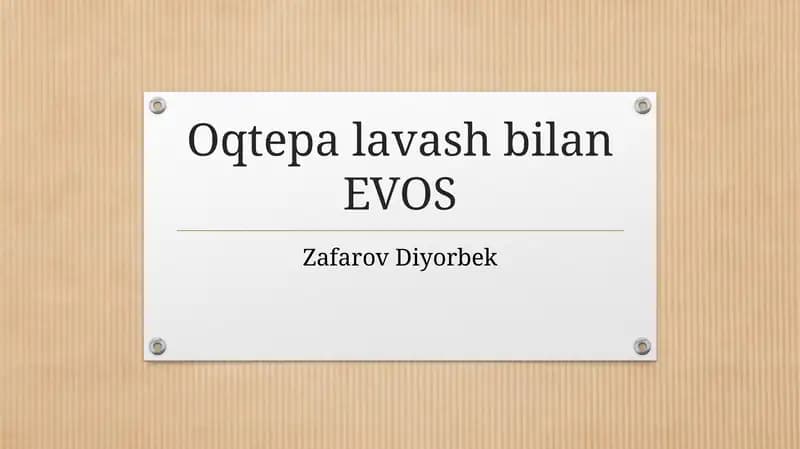Oqtepa lavash bilan EVOS