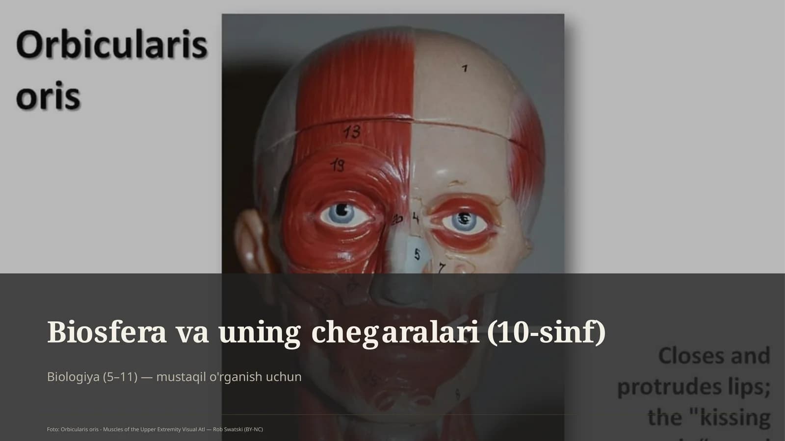 Biosfera va uning chegaralari (10-sinf)