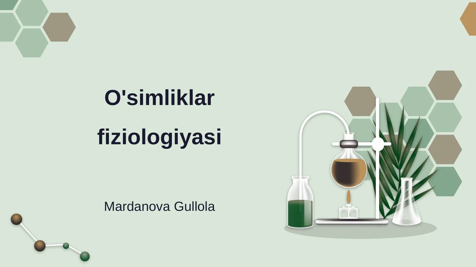 O'simliklar fiziologiyasi