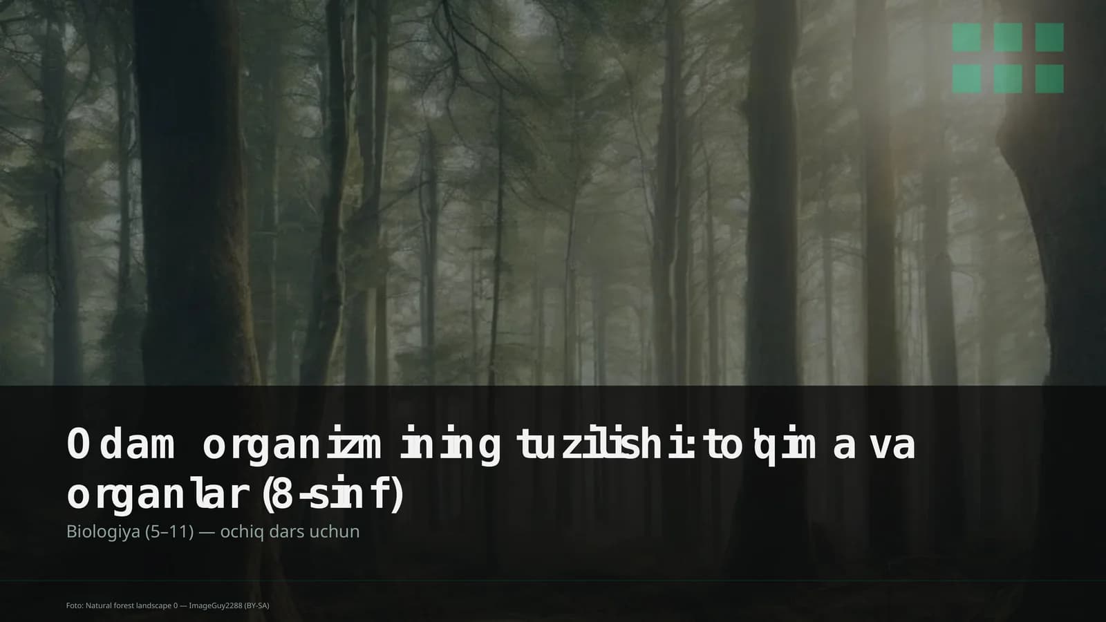 Odam organizmining tuzilishi: to'qima va organlar (8-sinf)