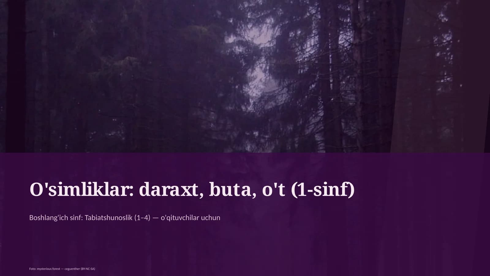 O'simliklar: daraxt, buta, o't (1-sinf)