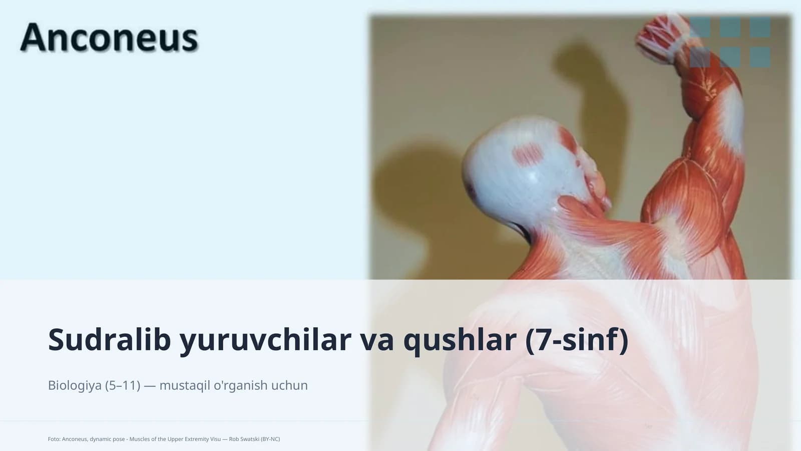 Sudralib yuruvchilar va qushlar (7-sinf)