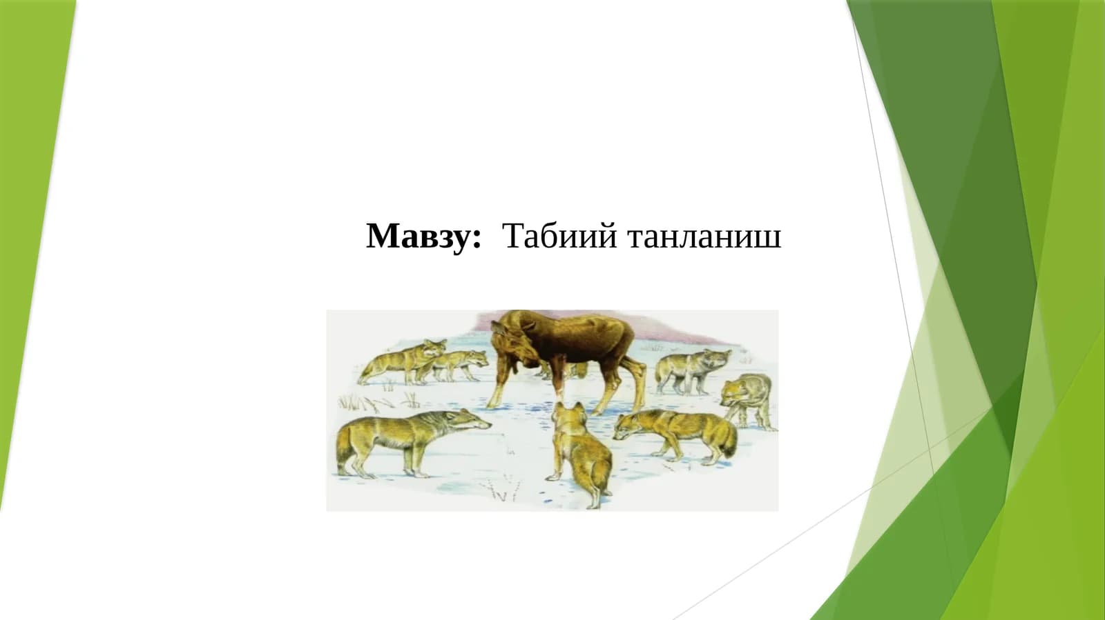 Табиий танланиш