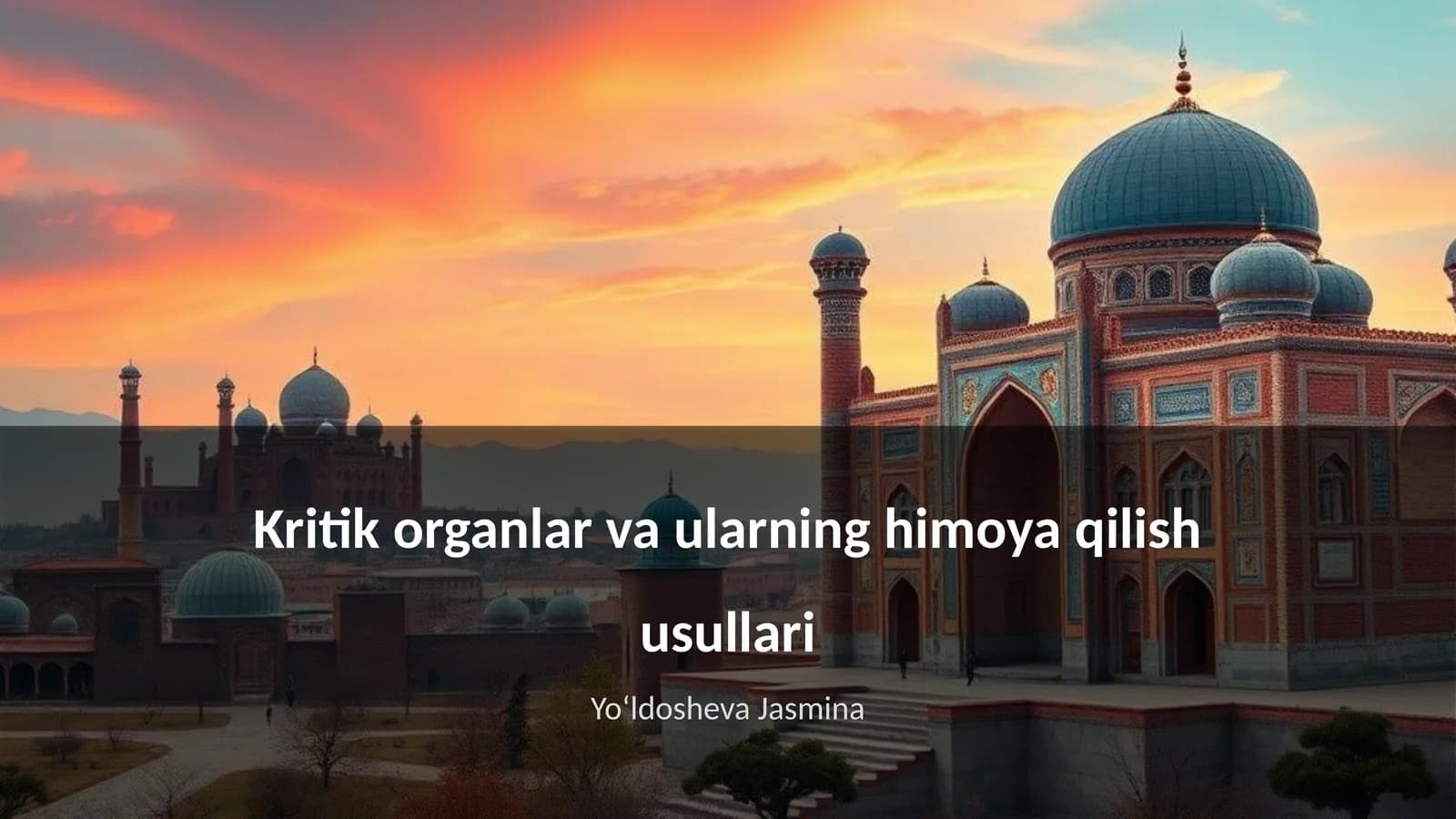 Kritik organlar va ularning himoya qilish usullari