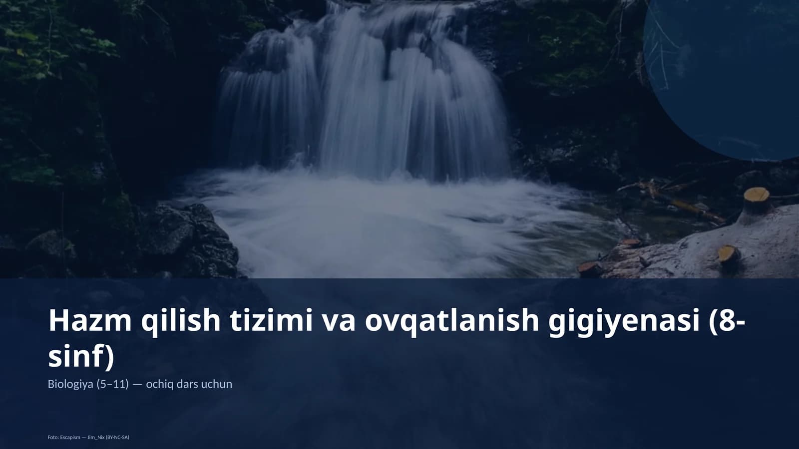 Hazm qilish tizimi va ovqatlanish gigiyenasi (8-sinf)