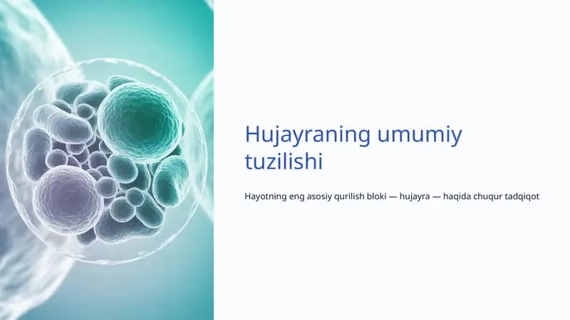Hujayra turlari va o'lchamlari