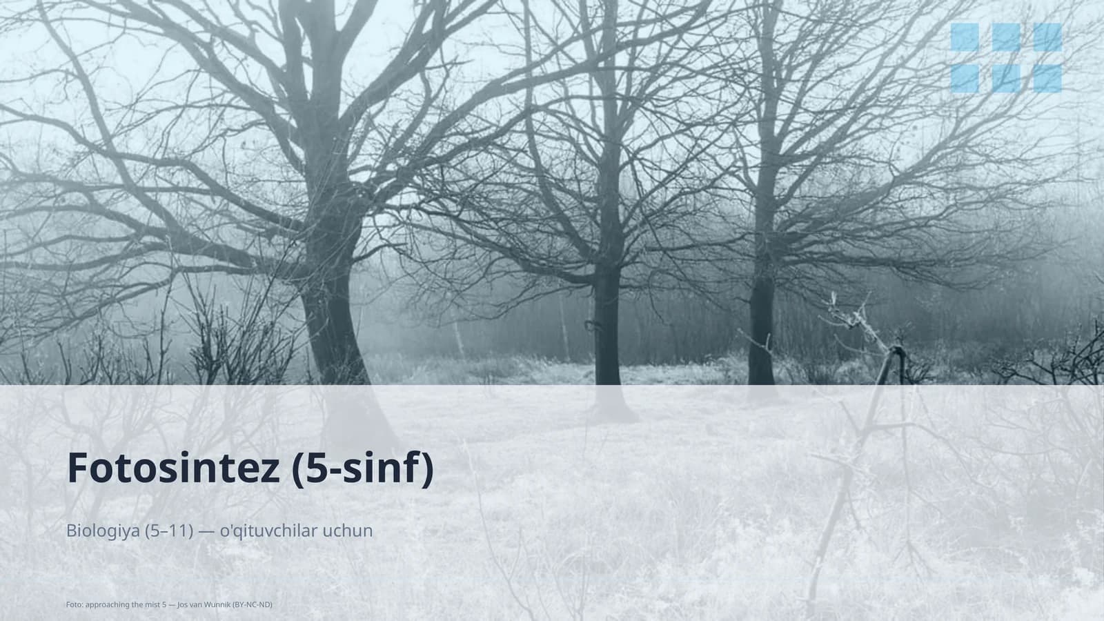 Fotosintez (5-sinf)