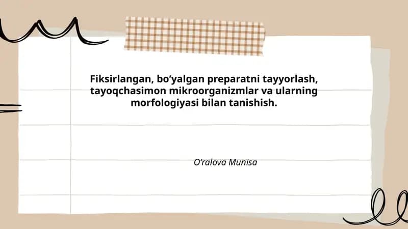 Fiksirlangan, bo‘yalgan preparatni tayyorlash, tayoqchasimon mikroorganizmlar va ularning morfologiyasi bilan tanishish