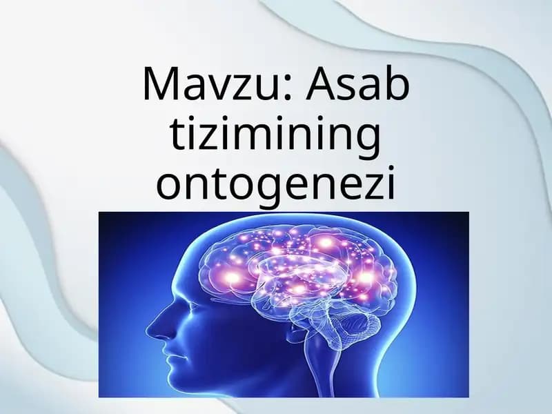 Asab tizimining ontogenezi
