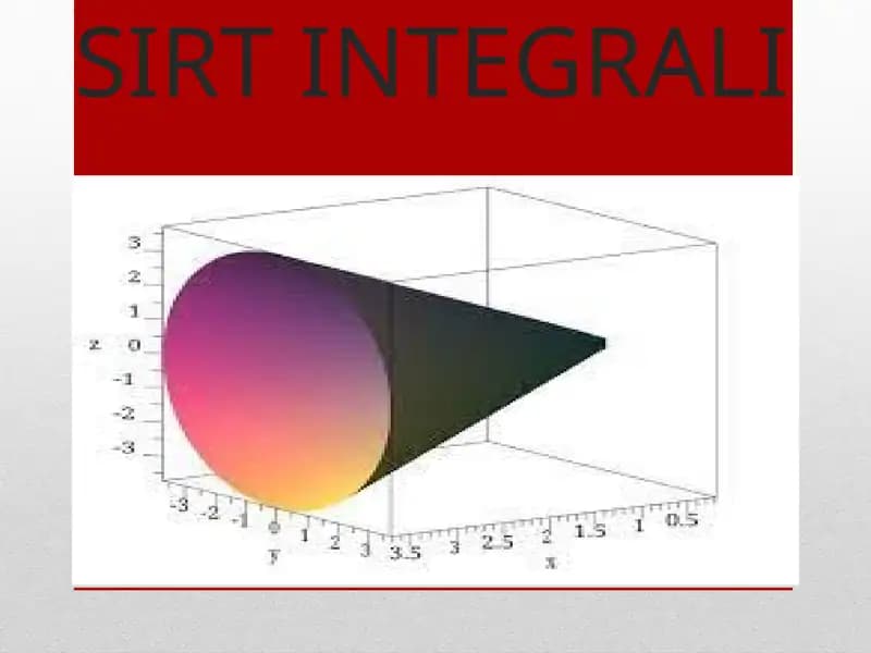 SIRT INTEGRALI