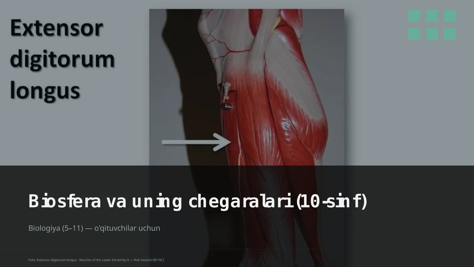 Biosfera va uning chegaralari (10-sinf)