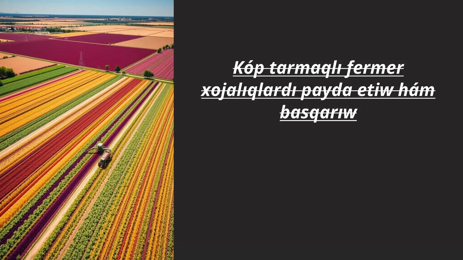 Kóp tarmaqlı fermer xojalıqlardı payda etiw hám basqarıw