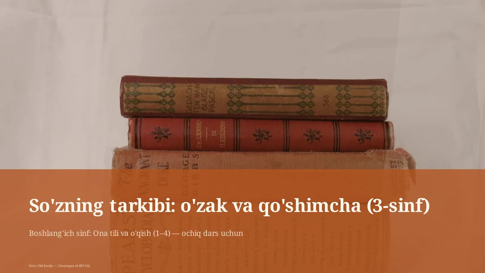 Ta'lim dasturi: Ona tili va o'qish