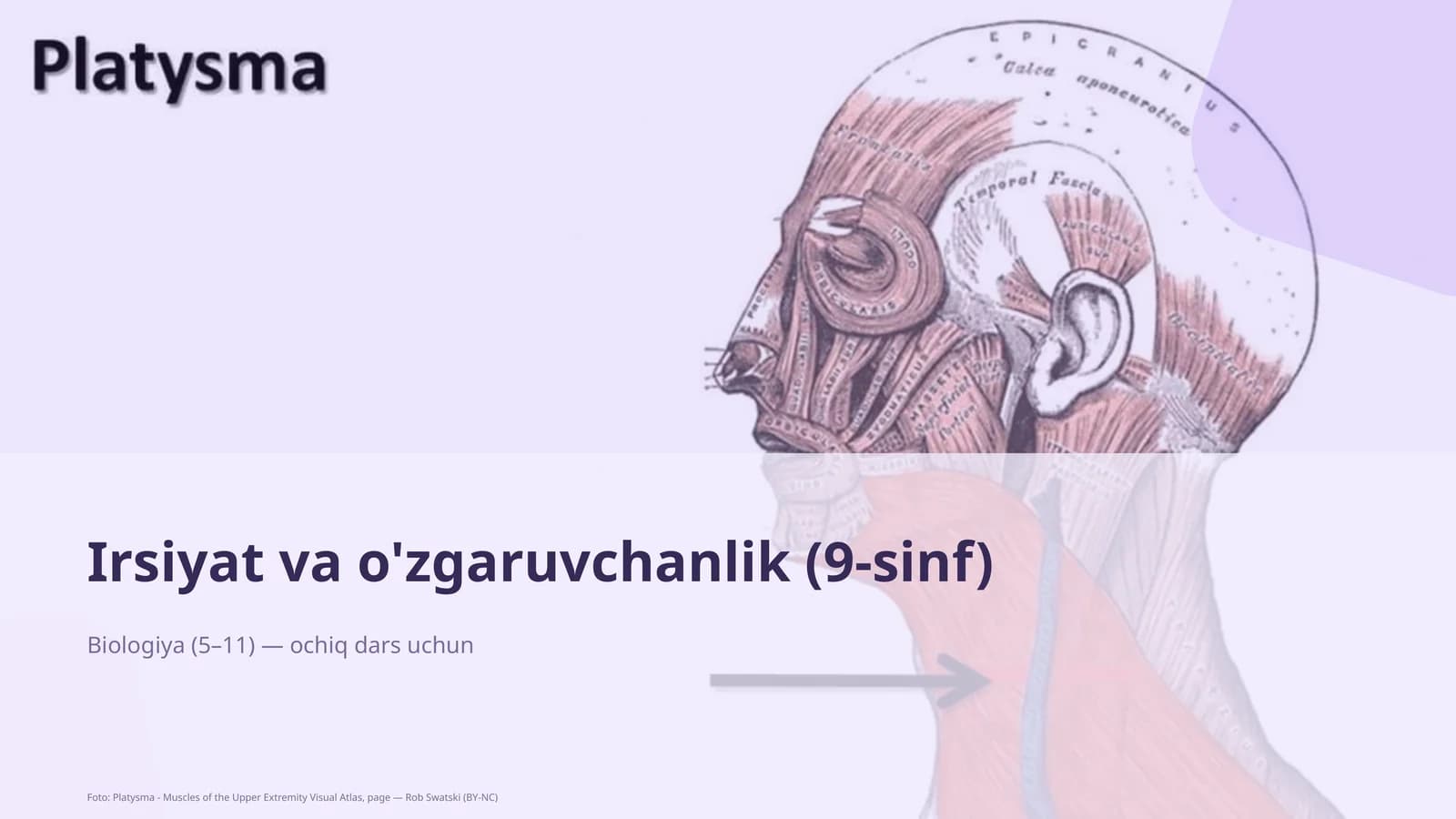 Irsiyat va o'zgaruvchanlik (9-sinf)