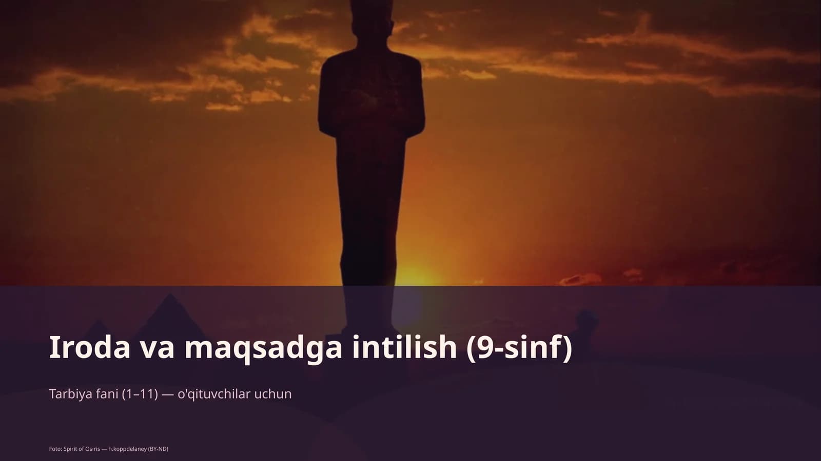 Iroda va maqsadga intilish (9-sinf)