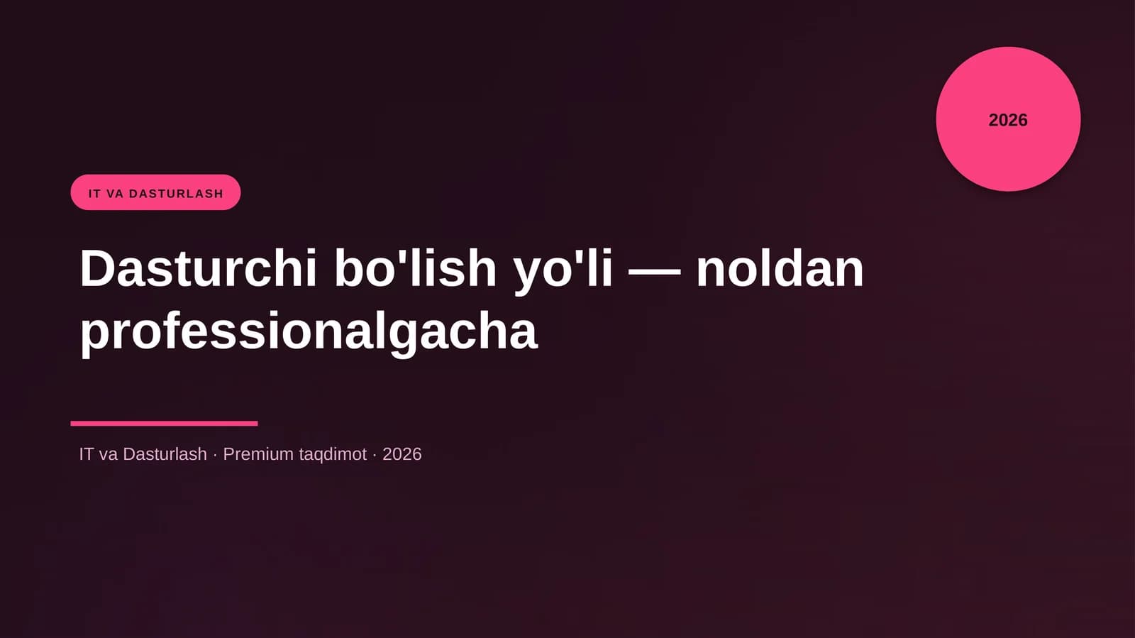 Dasturchi bo'lish yo'li — noldan professionalgacha