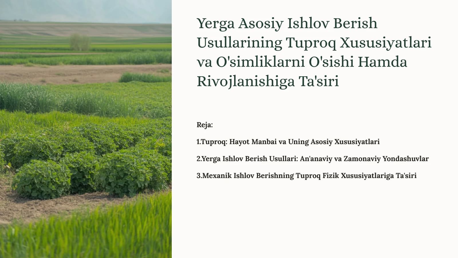 Yerga Asosiy Ishlov Berish Usullarining Tuproq Xususiyatlari va O'simliklarni O'sishi Hamda Rivojlanishiga Ta'siri