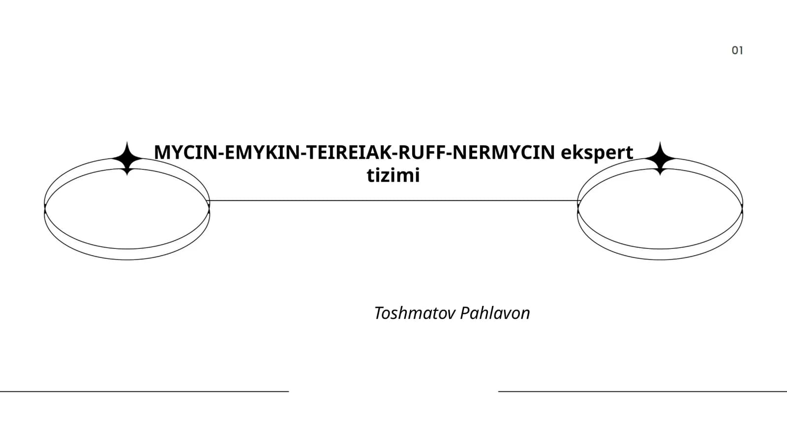 MYCIN-EMYKIN-TEIREIAK-RUFF-NERMYCIN ekspert tizimi