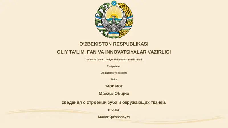Общие сведения о строении зуба и окружающих тканей